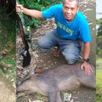 senapan angin Goppul