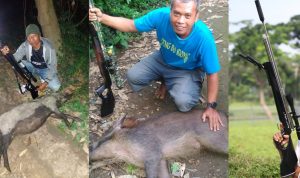 senapan angin Goppul