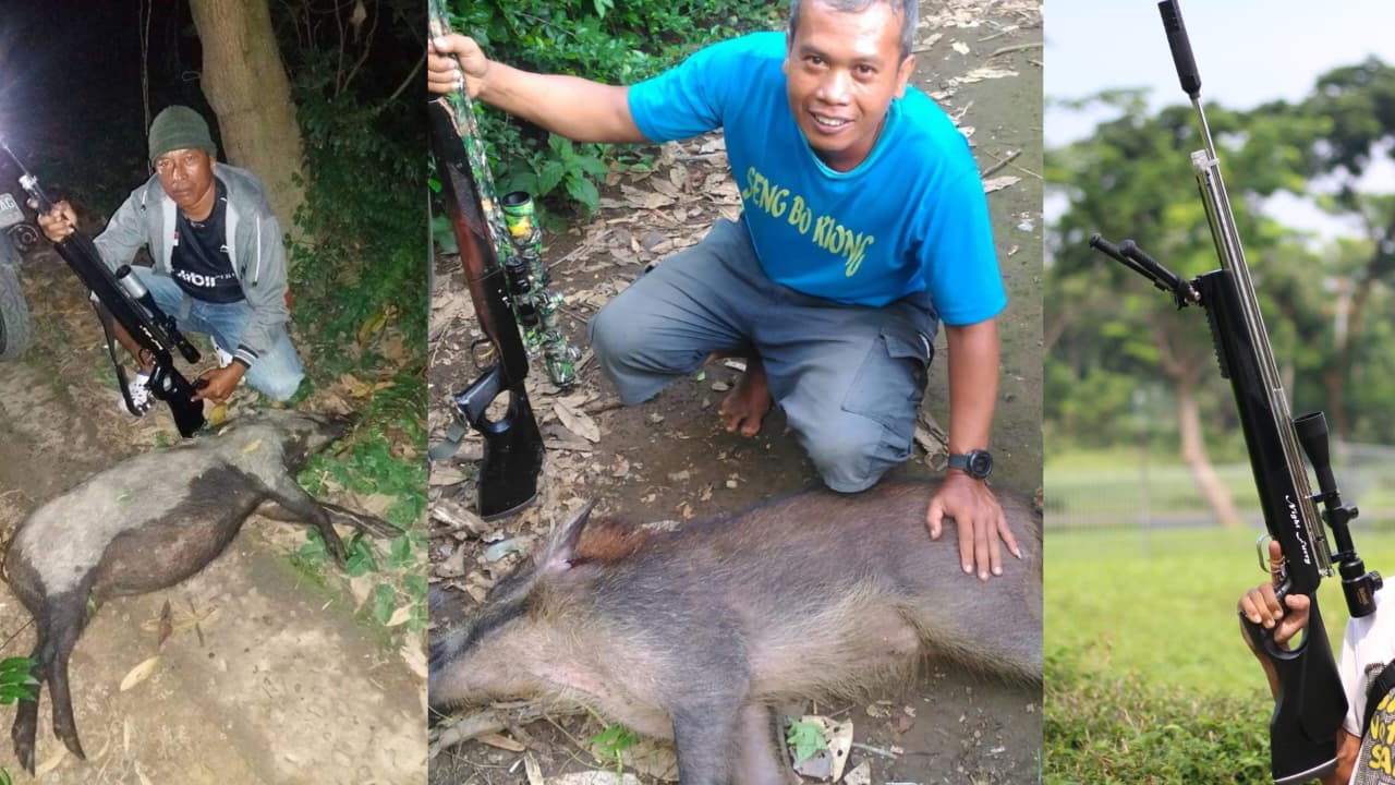 senapan angin Goppul